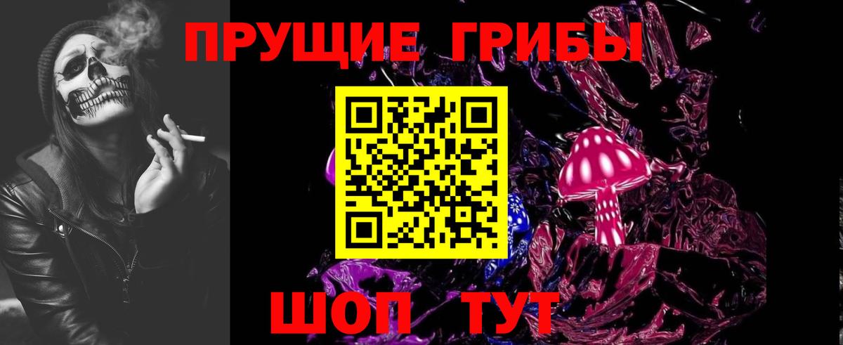 Галлюциногенные грибы Psilocybine cubensis Белая Калитва
